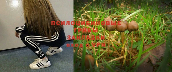 СК Армянск